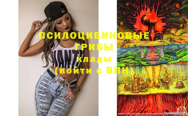ГАЛЛЮЦИНОГЕННЫЕ ГРИБЫ Балабаново