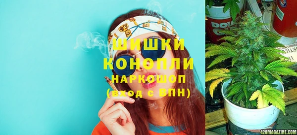 ГАЛЛЮЦИНОГЕННЫЕ ГРИБЫ Балабаново