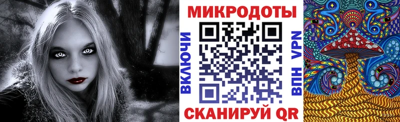 Псилоцибиновые грибы мицелий купить наркоту omg вход нарко площадка какой сайт Вязьма