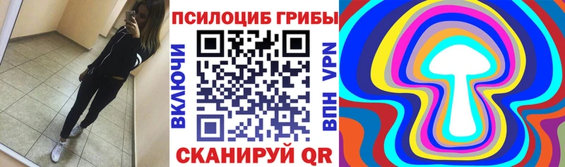 Галлюциногенные грибы Cubensis Вязьма